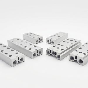 Manifold
